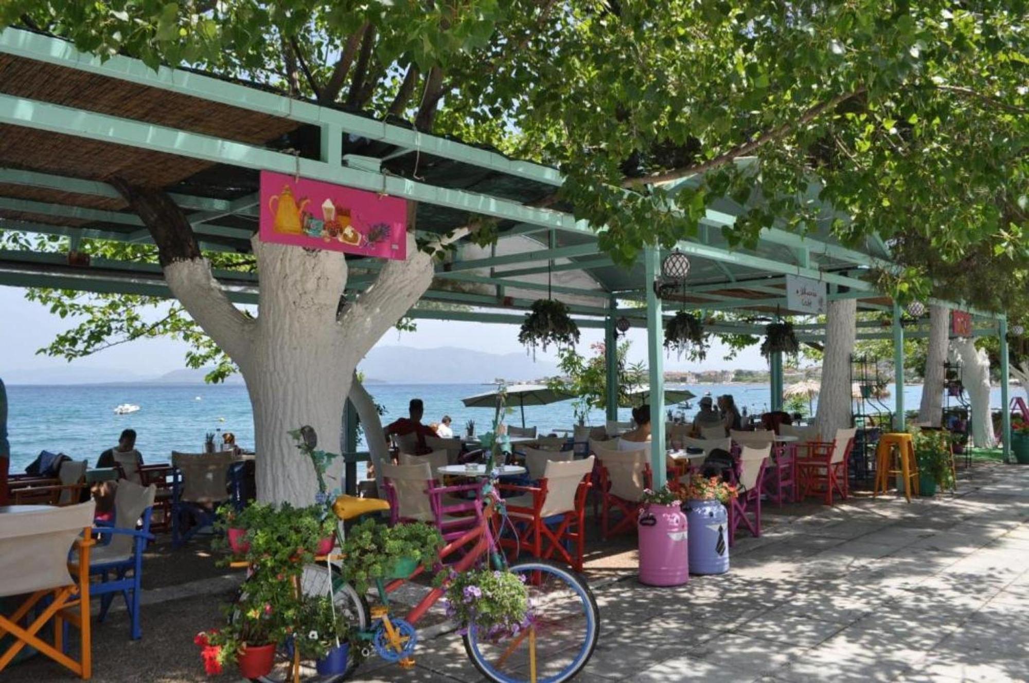 Okeania Seafront In Apartment